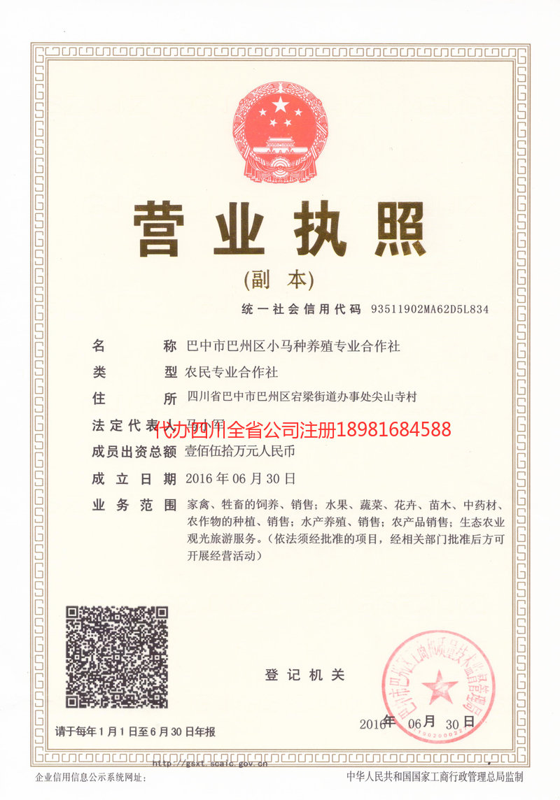 建德建德小马种养殖专业合作社